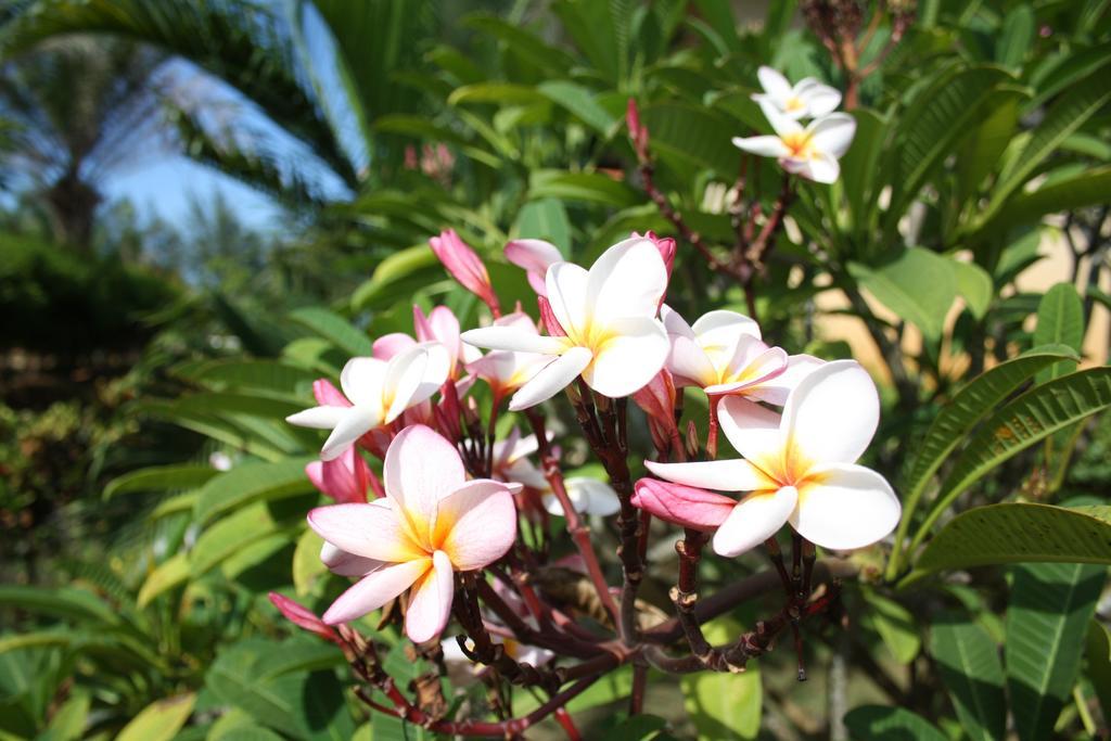 Ao Thai Resort Sathing Phra Luaran gambar